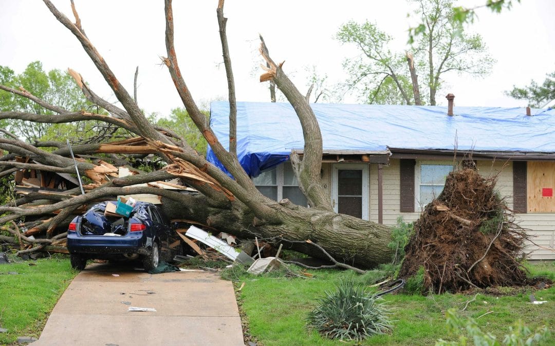 6 Steps to Take after a Storm Damages Your Roof in Nashville
